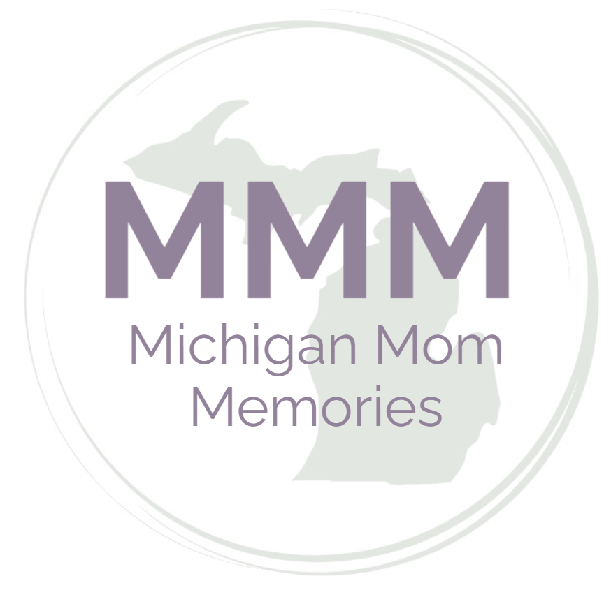 Michigan Mom Memories - Find places to take your toddler to play!